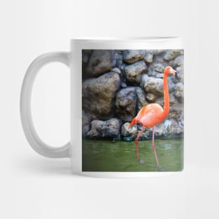 American Flamingo Mug